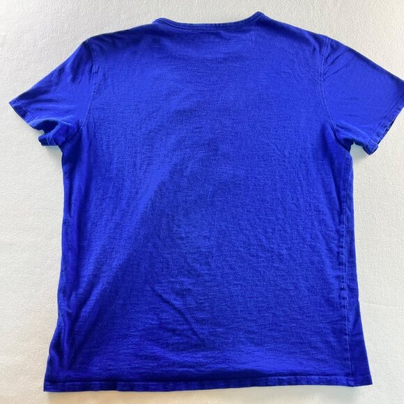 American Eagle Outfitters Blue Athletic Fit T-Shirt L - Picture 5 of 6